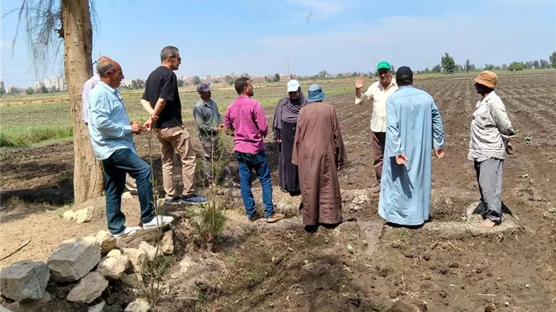 مديرية الزراعة بكفر الشيخ تواصل جولاتها الميدانية المكثفة لمتابعة المحاصيل الزراعية وتشديد الرقابة على مستلزمات الإنتاج