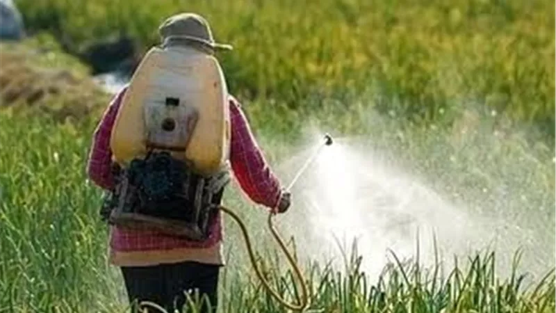 أفضل توقيت لرش المبيدات الحشرية.. مواعيد المكافحة المناسبة حسب نوع الآفة الزراعية