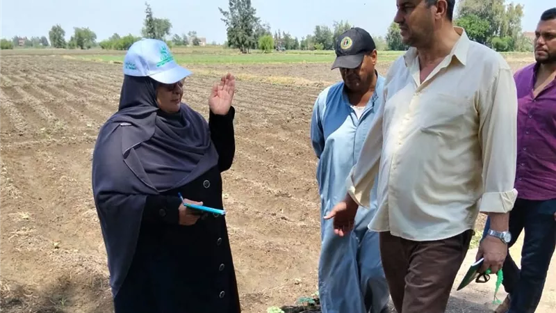 تكثيف الحملات الرقابية بمركز بلطيم لحماية الرقعة الزراعية
