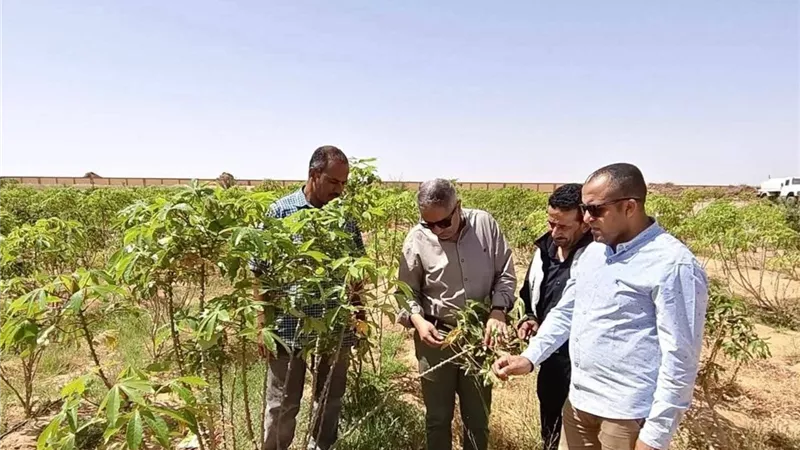 دعم التنمية الزراعية.. الزراعة تنشر تقريرا للأنشطة لمركز بحوث الصحراء خلال مايو