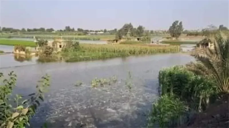 تراجع مناسيب النيل يهدد الزراعة ومياه الشرب في السودان.. وتخوفات من أزمة أمن غذائي