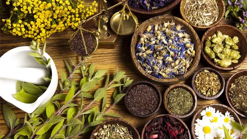رغم ملوحة التربة.. نجاح مبشر لزراعة النباتات الطبية والعطرية في أراضي المنيا الجبلية
