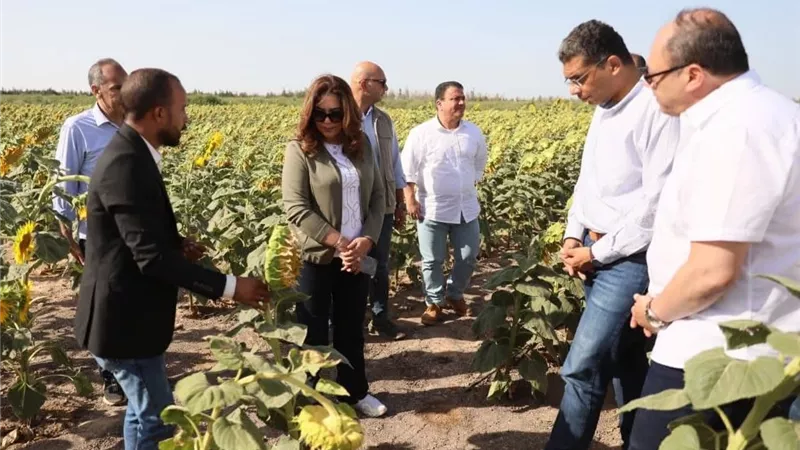 الجوجوبا بالغردقة.. نموذج رائد للزراعة المستدامة واستغلال المياه المعالجة لمواجهة التصحر