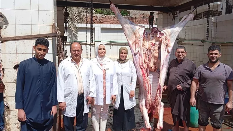 الزراعة: ذبح 11,719 أضحية مجاناً في ثاني أيام العيد بالمجازر الحكومية وتعزيز الرقابة البيطرية