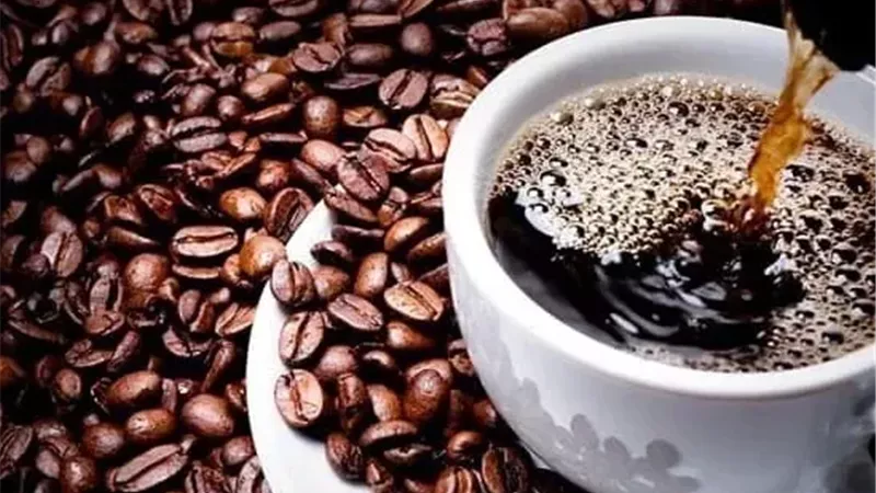 ارتفاع ملحوظ في واردات البن.. مصر تستورد بنًا بقيمة 89 مليون دولار في 3 أشهر