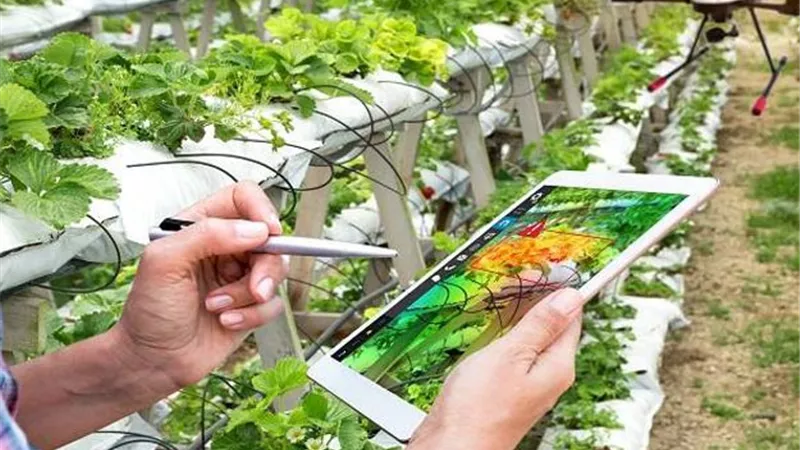 مزارع المستقبل.. ماذا سيزرع الفلاح بعد 10 سنوات؟