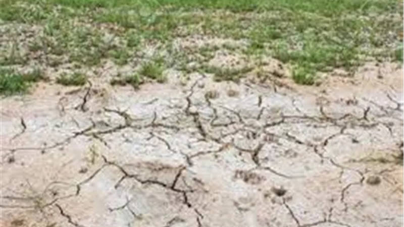 بوار آلاف الأفدنة وتصحر الأراضي الزراعية بسبب نقص منسوب المياه في بحر الجرجبة