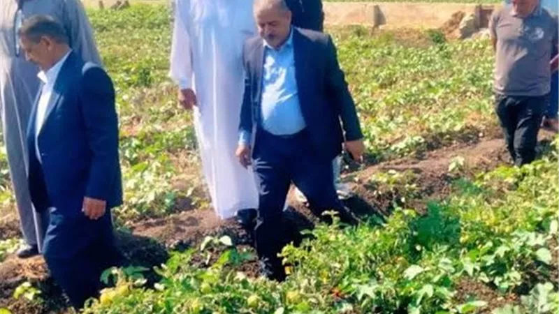 جولات ميدانية للإصلاح الزراعي بكفر الشيخ لمتابعة المحاصيل الصيفية وحسم ملفات الأسمدة والعقود