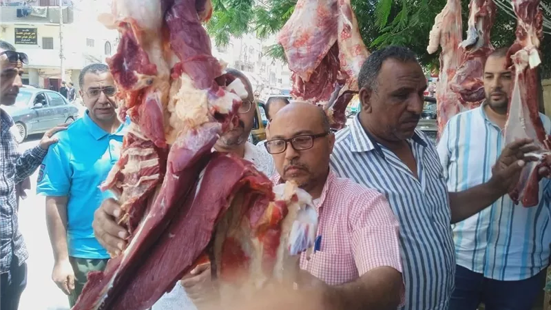 بيطري المنيا: ضبط ومصادرة أكثر من نصف طن لحوم غير صالحة ومذبوحة خارج المجازر