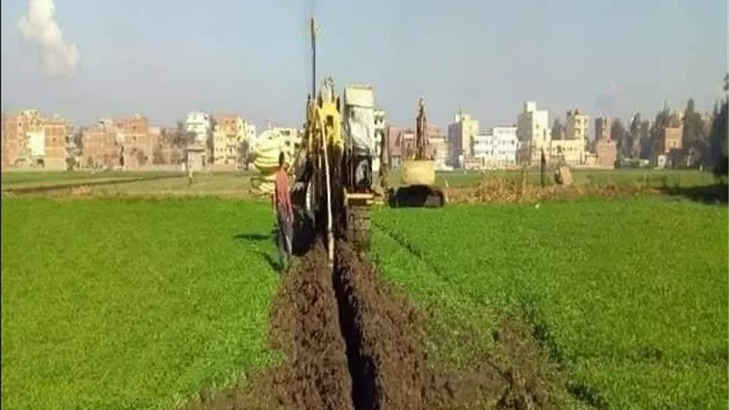 ليه أرضك بتعطش رغم الري؟ مشاكل الصرف الخفي وتأثيرها على المحاصيل