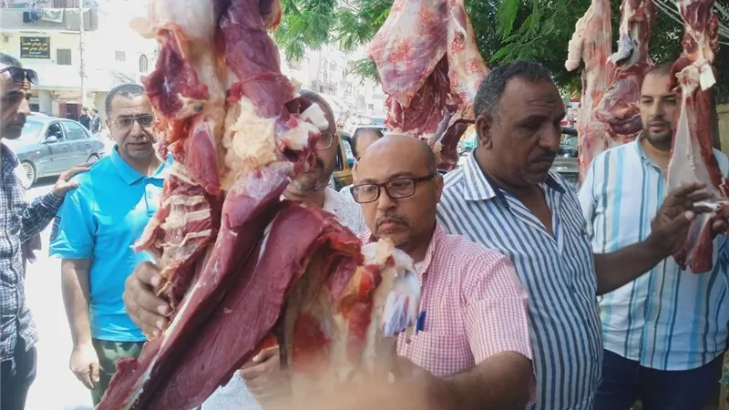 بيطري المنيا: ضبط ومصادرة أكثر من نصف طن لحوم غير صالحة ومذبوحة خارج المجازر