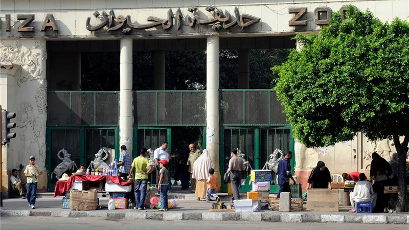 بعد 3 سنوات من التطوير.. حديقة حيوان الجيزة تستعد لعودة تاريخية بمعايير عالمية ومعالمها التراثية الخالدة