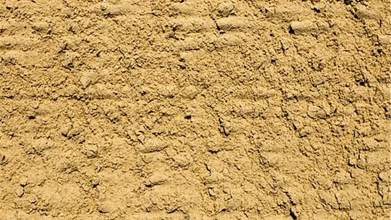 طرق تحسين خصوبة التربة الرملية بأقل تكلفة لزيادة الإنتاجية الزراعية
