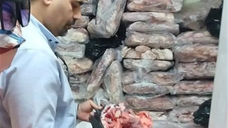 طن ونصف من دهن الماشية الفاسد قبل تداوله بالأسواق.. الطب البيطري يوجه ضربة قوية للمخالفين في السويس