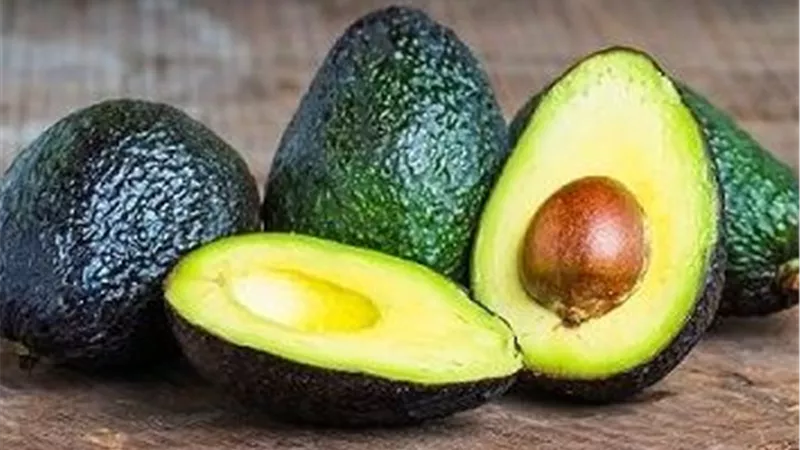 أفضل أصناف الأفوكادو للزراعة والإنتاج التجاري… دليل عملي لاختيار الصنف المناسب في مصر