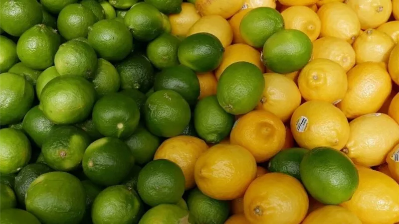 الليمون المصري يواصل التوسع عالميًا.. أفغانستان تنضم إلى قائمة الأسواق الجديدة والصادرات تتجاوز 100 ألف طن