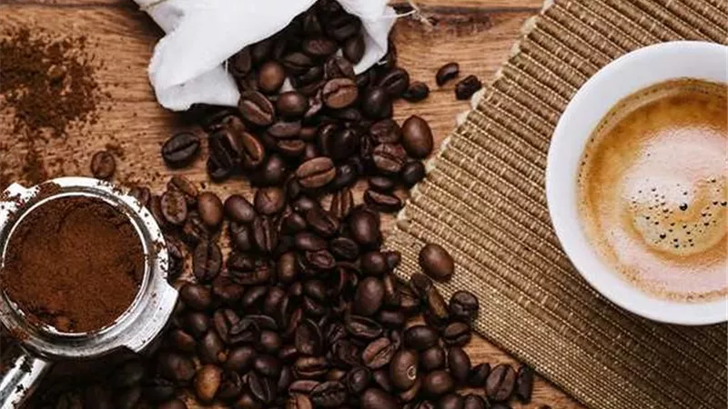 هل تستطيع مصر زراعة البن؟.. عضو شعبة البن يكشف الحقيقة
