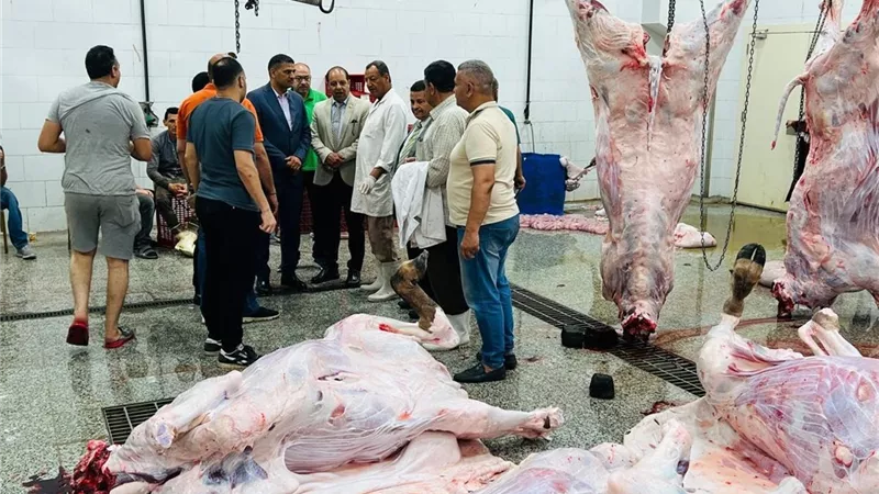 ذبح 7,681 أضحية بالمجازر الحكومية 