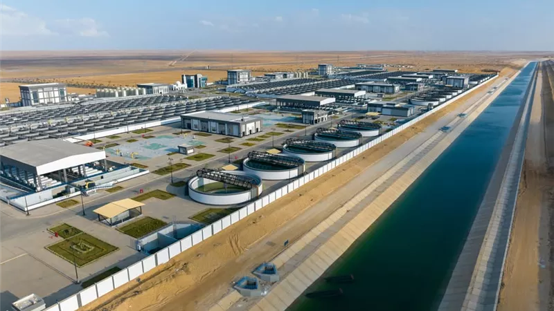 بين وفرة المياه وأفق 2030.. عبد السلام الجبلي يكشف خطة إعادة التدوير لرسم خارطة الدلتا الجديدة