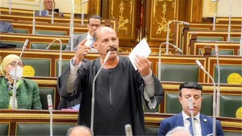 برلماني: تراجع أسعار البيض ل 60 و80 جنيها أمر إيجابي يصب في مصلحة المواطن الغلبان
