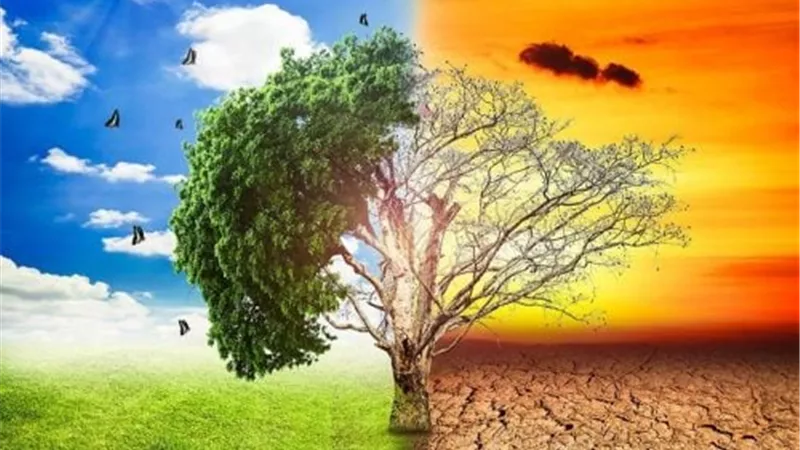 أكتوبر يغير خريطة الزراعة.. فهيم يحذر المزارعين من تقلبات الحرارة وأمراض المحاصيل