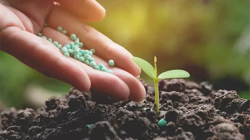 الزراعة الحيوية حائط صد أمام مخاطر التغيرات المناخية وضمانة لاستدامة خصوبة التربة