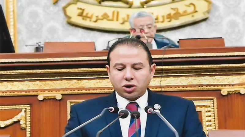 الغش الغذائي يهدد الأمن القومي.. برلماني يطالب بعقوبات رادعة ورقمنة تتبع السلع من الإنتاج للمستهلك 