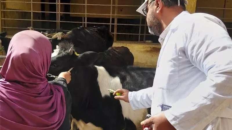 رئيس الهيئة العامة للخدمات البيطرية: استمرار تنفيذ القوافل البيطرية المجانية بمختلف المحافظات