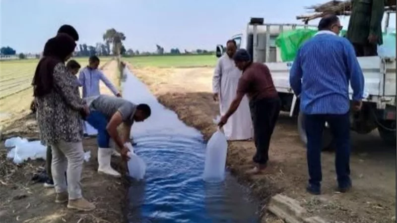 البلطي يغزو مياه الشرقية.. إطلاق 600 ألف زريعة أسماك لدعم الإنتاج وتحسين دخل الصيادين
