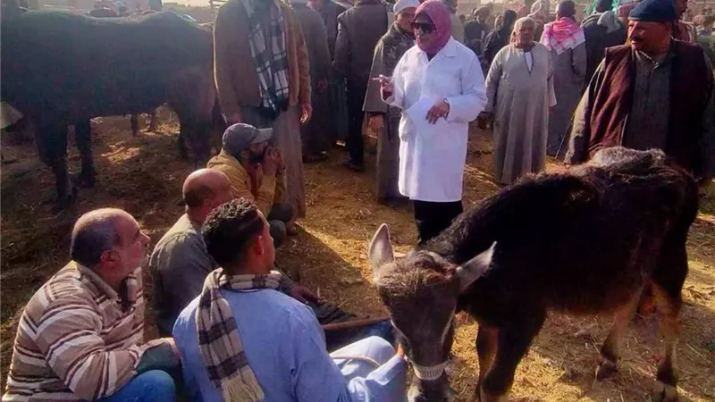 الخدمات البيطرية: أعمال التقصي الإكلينيكي تمثل أحد الركائز الأساسية لمنظومة الإنذار المبكر للأمراض