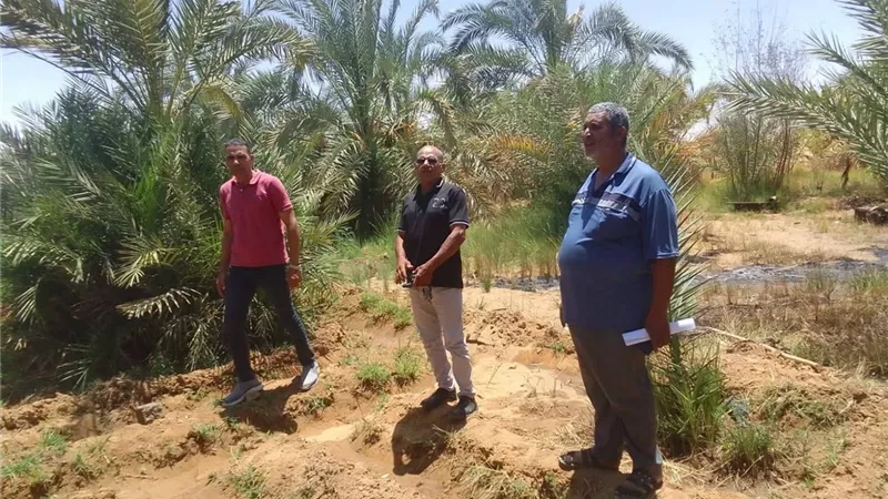 جولة ميدانية لمدير إدارة الخارجة لمتابعة الحصر الزراعي وخدمات المزارعين