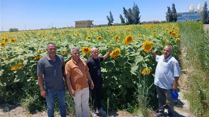 زراعة الإسماعيلية تكثف جولاتها الحقلية لدعم المزارعين بأرض الفيروز