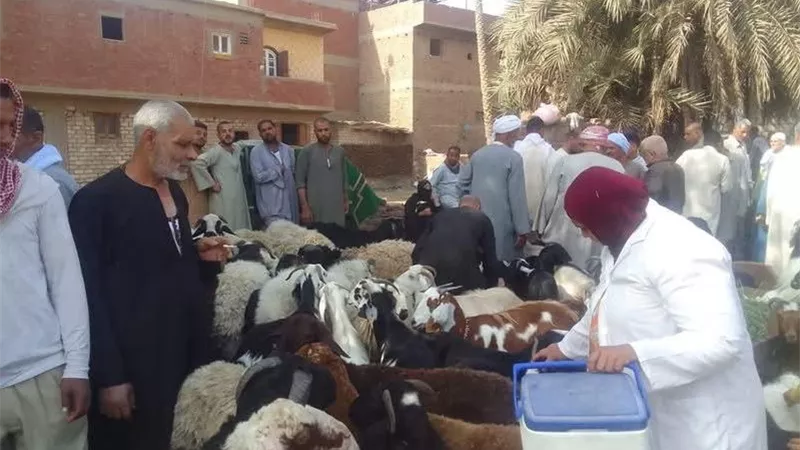 بـ 8 مليون جرعة .. 