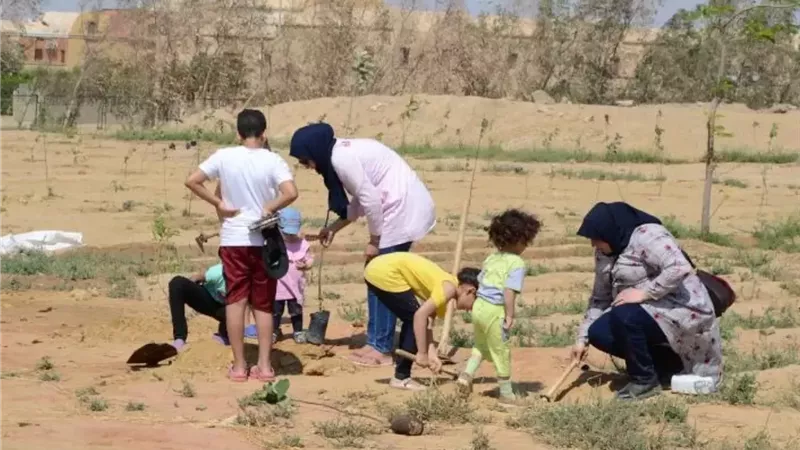 نويبع تتجمل بالأخضر.. زراعة 500 شجرة مثمرة وزينة للحفاظ على المظهر الحضاري والبيئي