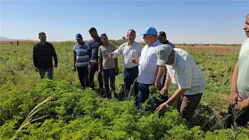 وكيل زراعة الوادي الجديد يوجه المزارعين بضرورة الاهتمام بعمليات الري والتسميد ومكافحة الآفات