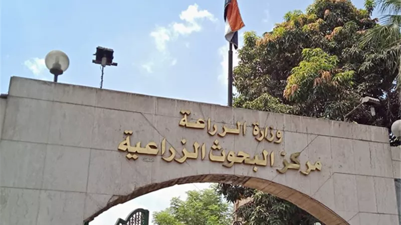 دعم 105 شركات ناشئة و350 مبتكرًا ضمن مشروع وطني لتطوير الزراعة المصرية