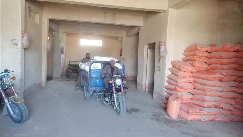 مديرية الزراعة بالفيوم تتابع أعمال صرف الأسمدة الخاصة بالموسم الصيفي