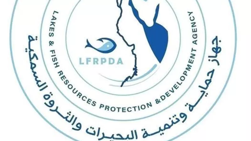 زراعة الأسماك في حقول الأرز.. مشروع قومي لتعزيز الأمن الغذائي
