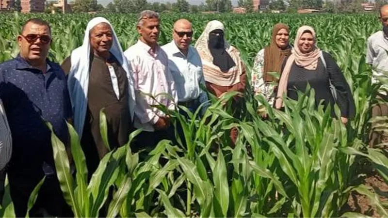 زراعة الغربية تواصل حملاتها التوعوية الموسعة لمكافحة 