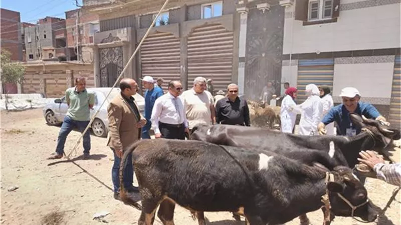 محافظ الدقهلية يتابع أعمال قافلة بيطرية مجانية قدمت 4 آلاف خدمة علاجية في شربين