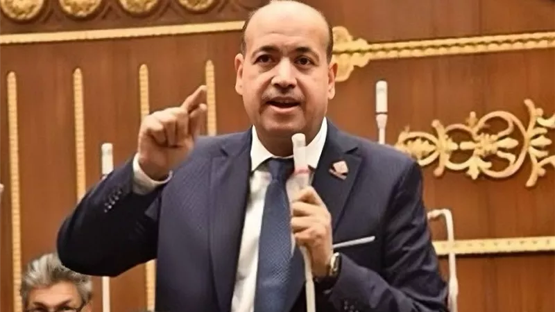 أحمد سيد يفتح 3 ملفات تحت قبة الشيوخ: تعظيم عائد الثروات التعدينية وتطوير الطريق الزراعي