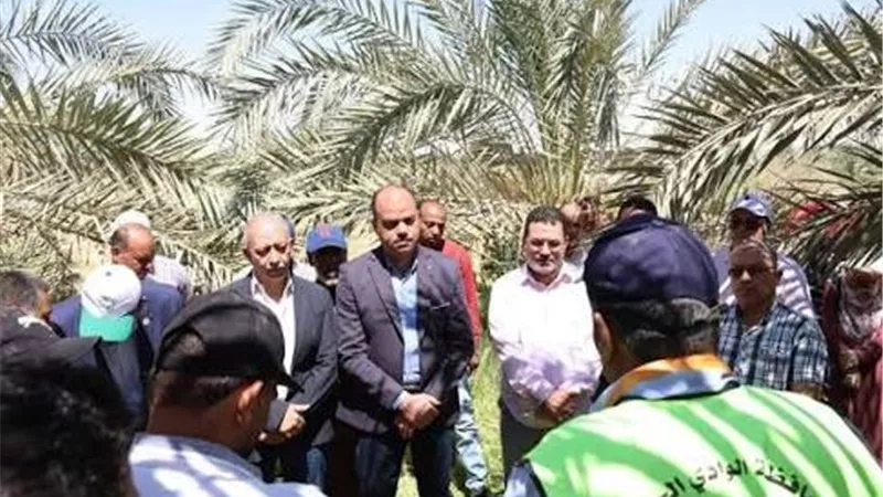 الوادي الجديد تكثف جهودها لتأهيل الكوادر البشرية بدعم قطاع زراعة النخيل والاستثمار الزراعي