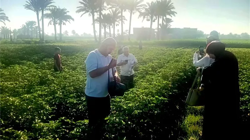 لتعزيز الأمن الغذائي.. زراعة شمال سيناء تدشن استراتيجية التسميد الوقائي لمواجهة التغيرات المناخية بالعريش