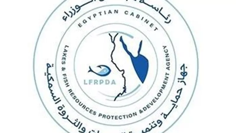 حماية البحيرات تحسم الجدل: الأسماك المصرية آمنة وشائعات الأمراض لا أساس لها