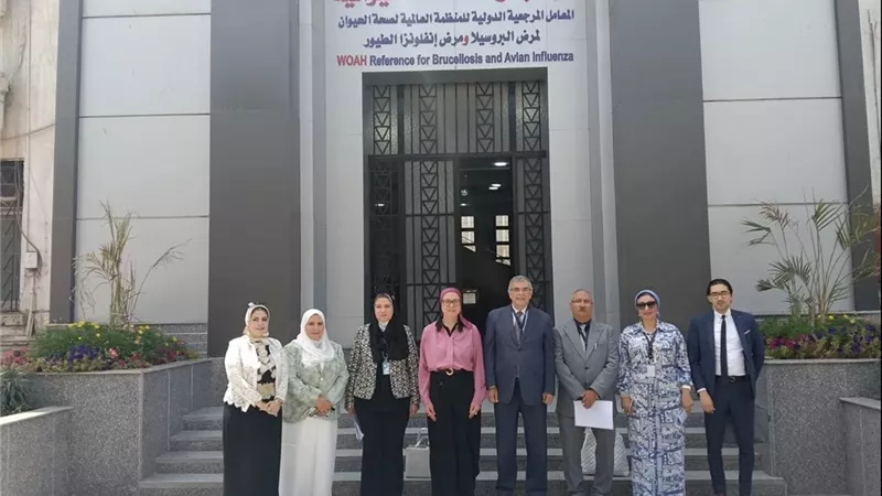 إنجاز جديد لـ الصحة الحيوانية.. اعتماد مركز التدريب رسميًا للتعليم الطبي المستمر وإقرار 3 برامج متخصصة