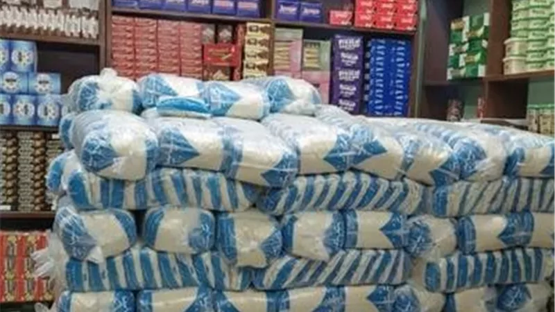 خطة استراتيجية لتعزيز الاكتفاء الذاتي.. كيف تفتح الأراضي الجديدة طريقاً لزيادة إنتاج السكر في مصر؟