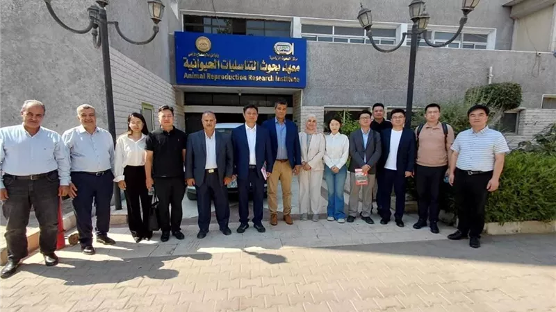 الزراعة: بحوث التناسليات الحيوانية يستقبل وفدا صينيا لبحث التعاون العلمي والاستثماري في الثروة الحيوانية 