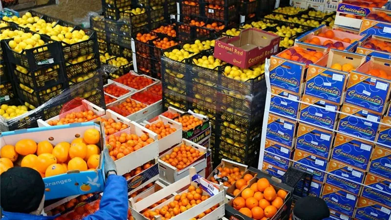 الزراعة: الصادرات الزراعية المصرية ارتفعت خلال الـ12 عامًا الأخيرة من مليوني طن إلى أكثر من 9.5 مليون طن