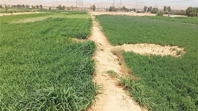 أزمة نزلة خاطر.. تحرك عاجل من خمس جهات حكومية لمعاينة تسرب المياه بسوهاج