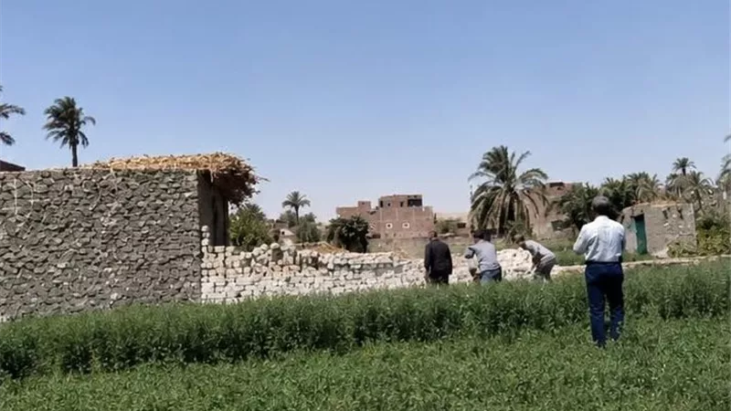 بداية حاسمة للموجة 29.. أسيوط تزيل 21 حالة تعدٍ على الأراضي الزراعية والمتغيرات المكانية